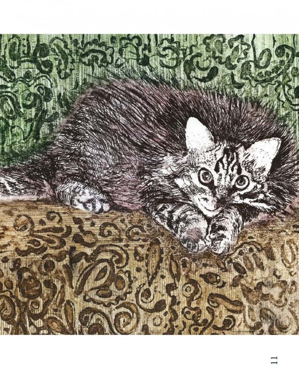 Дополнительное изображение книги «Букфейс. Заходиесличто»