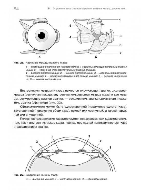 Дополнительное изображение книги «Судебно-медицинское определение степени тяжести вреда, причиненного здоровью человека»