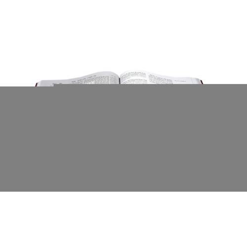 Дополнительное изображение книги «Вавилонский Талмуд. Трактат Сота. Т. 2»