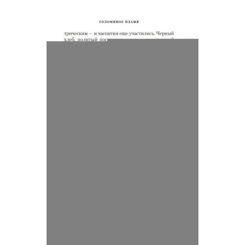 Дополнительное изображение книги «Голомяное пламя роман»