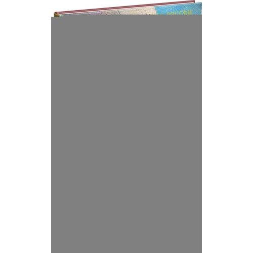 Дополнительное изображение книги «Голомяное пламя роман»
