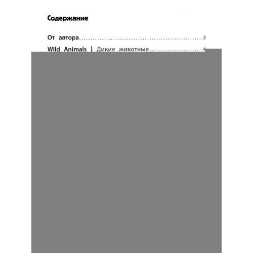 Дополнительное изображение книги «Игровой тренажер ШАГ 1»