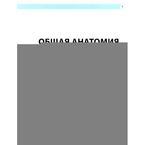 Дополнительное изображение книги «Анатомия человека атлас»