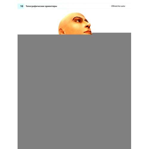 Дополнительное изображение книги «Анатомия человека атлас»