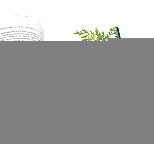 Дополнительное изображение книги «Гора самоцветов. Сказки народов России (комплект из 2-х книг)»