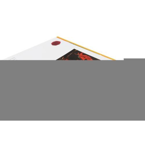 Дополнительное изображение книги «Хаим Сутин - бой с цветом»