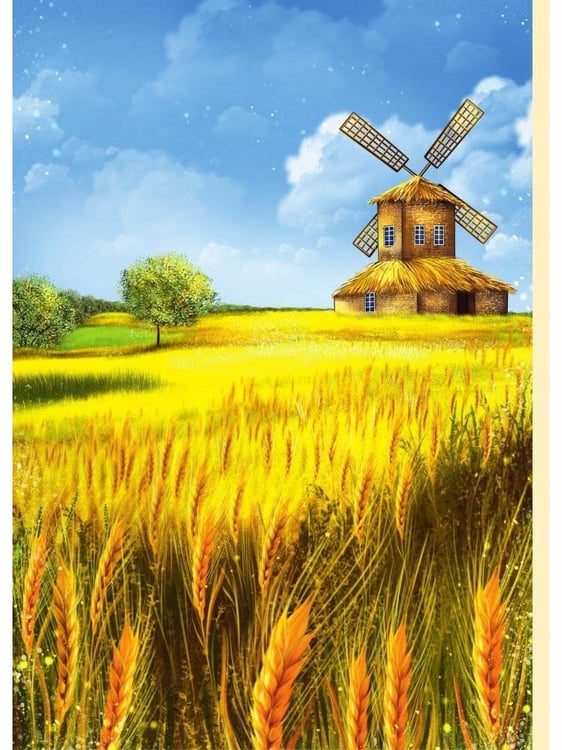 Дополнительное изображение книги «Olivetta. Storia che parla di bonta e mirracoli»