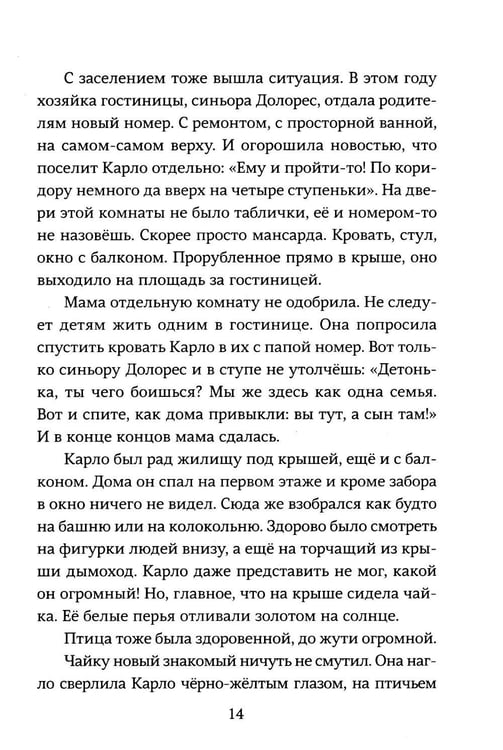 Дополнительное изображение книги «Ускользающее лето»