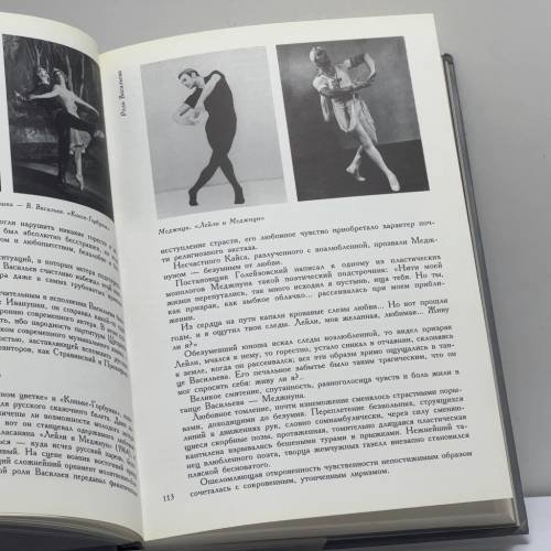 Дополнительное изображение книги «Владимир Васильев»