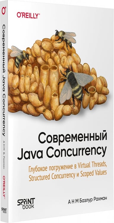 Дополнительное изображение книги «Современный Java Concurrency. Глубокое погружение в Virtual Threads, Structured Concurrency и Scoped»