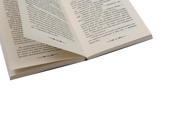 Дополнительное изображение книги «Де Камп. Ч. 2 (комплект из 2-х книг)»