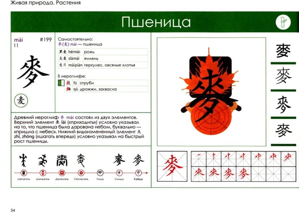 Дополнительное изображение книги «Учи ключи. Изучаем, запоминаем, пишем и играем. 214 ключей китайских иероглифов: Учебное пособие. 3-е изд., испр.»