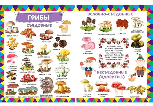 Дополнительное изображение книги «1234 картинки для самых маленьких, 555 загадок для детей (комплект из 2-х книг)»