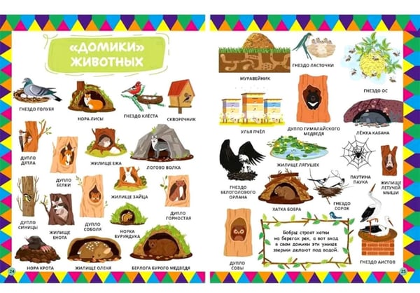 Дополнительное изображение книги «1234 картинки для самых маленьких, 555 загадок для детей (комплект из 2-х книг)»