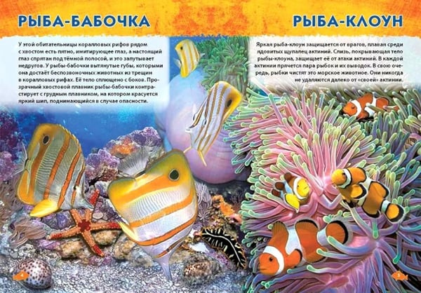 Дополнительное изображение книги «Подводный мир, Динозавры, Животные мира. Первая энциклопедия дошкольника (комплект из 3-х книг)»