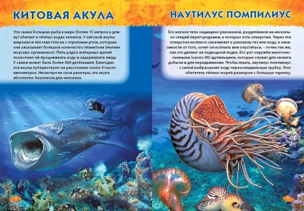 Дополнительное изображение книги «Подводный мир, Динозавры, Животные мира. Первая энциклопедия дошкольника (комплект из 3-х книг)»