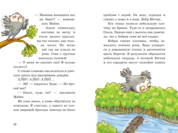 Дополнительное изображение книги «Енот против потопа»
