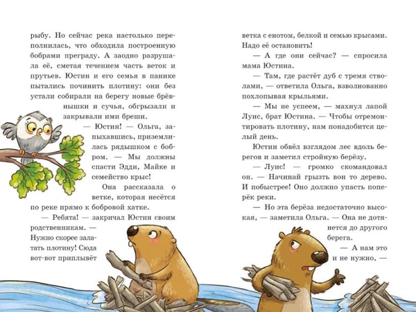 Дополнительное изображение книги «Енот против потопа»