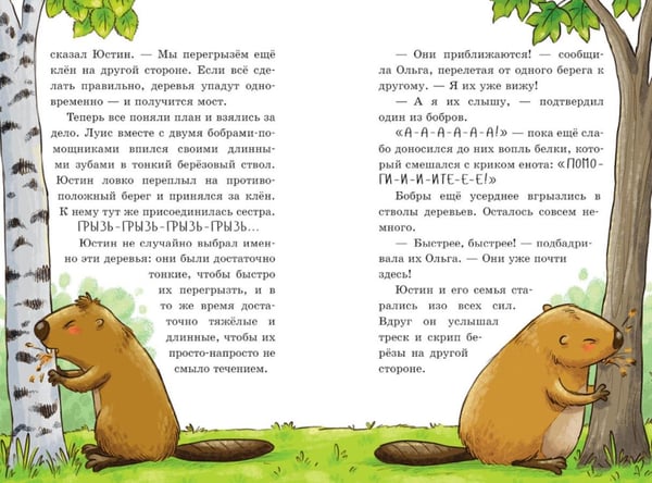 Дополнительное изображение книги «Енот против потопа»