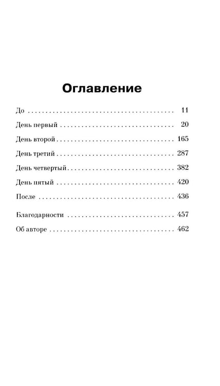 Дополнительное изображение книги «Пять дней в горах: роман»