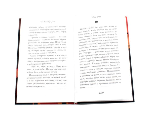 Дополнительное изображение книги «Русская классика (комплект из 4-х книг)»
