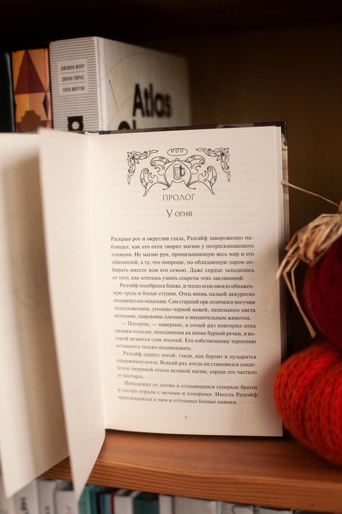 Дополнительное изображение книги «Поваренная книга для загробной жизни»