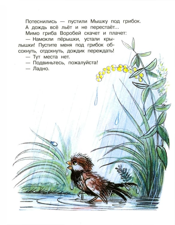 Дополнительное изображение книги «Кто сказал «мяу»? Сказки»
