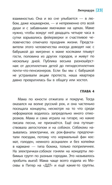 Дополнительное изображение книги «Литеродура: повесть»