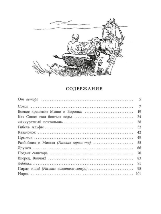 Дополнительное изображение книги «Пират, ищи!: рассказы»