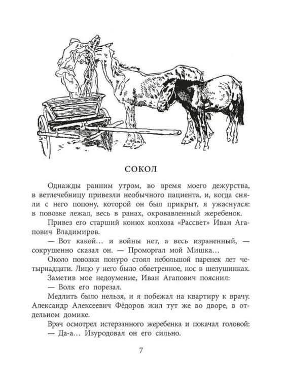Дополнительное изображение книги «Пират, ищи!: рассказы»