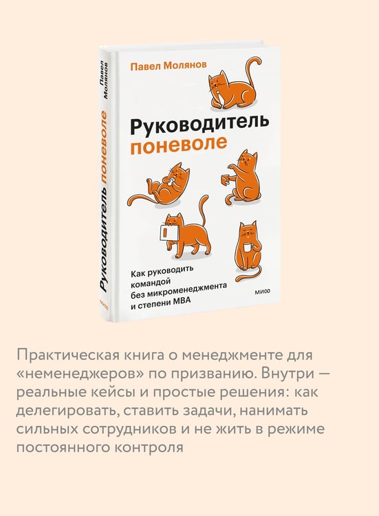 Дополнительное изображение книги «Руководитель поневоле. Как руководить командой без микроменеджмента и степени MBA»