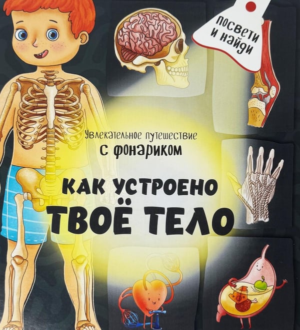 Обложка книги «Как устроено твое тело. Увлекательное путешествие с фонариком» — Иванова Оксана, ISBN 9785907664067