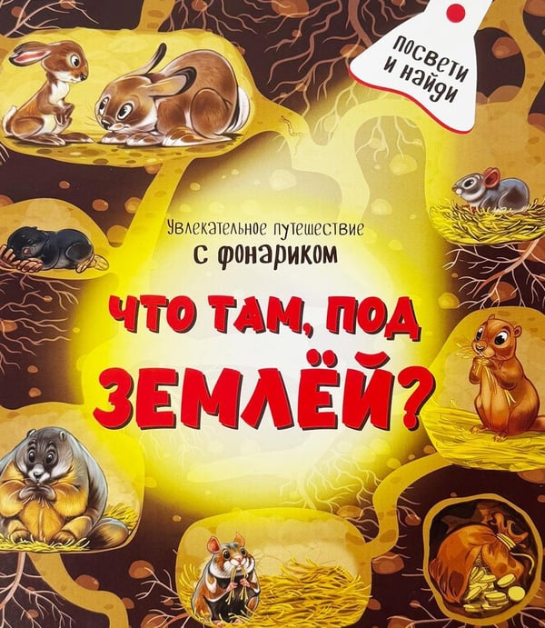 Дополнительное изображение книги «Что там под Землей. Увлекательное путешествие с фонариком»