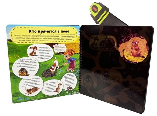 Дополнительное изображение книги «Что там под Землей. Увлекательное путешествие с фонариком»