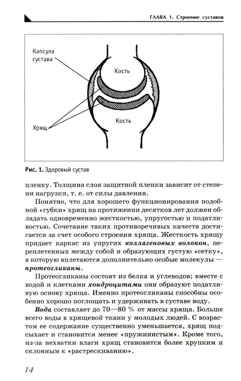 Дополнительное изображение книги «Артроз. Избавляемся от болей в суставах»