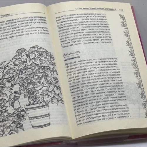 Дополнительное изображение книги «Комнатные растения»