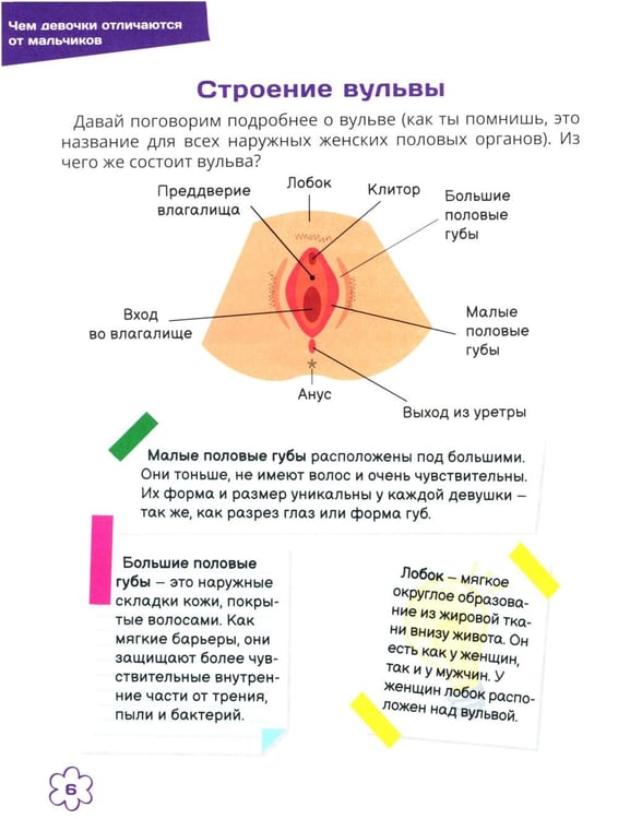 Дополнительное изображение книги «Я могу все. Я уже почти взрослая (комплект из 2-х книг)»
