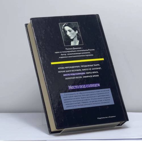Дополнительное изображение книги «Место под солнцем»
