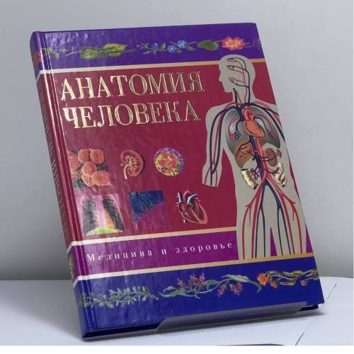 Обложка книги «Анатомия человека» — В. Собовый, ISBN 9785170122288