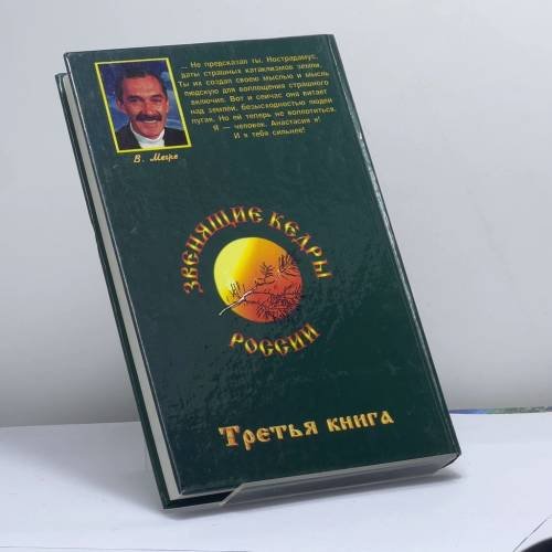 Дополнительное изображение книги «Пространство Любви»