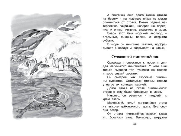 Дополнительное изображение книги «Беспокойный хвостик»