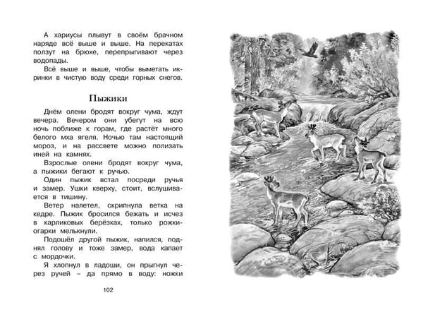 Дополнительное изображение книги «Беспокойный хвостик»