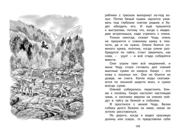 Дополнительное изображение книги «Беспокойный хвостик»
