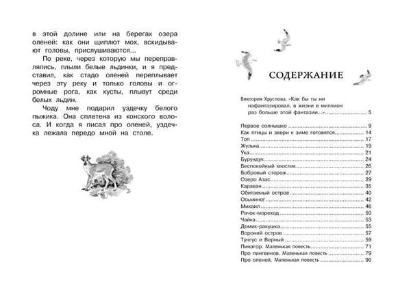 Дополнительное изображение книги «Беспокойный хвостик»