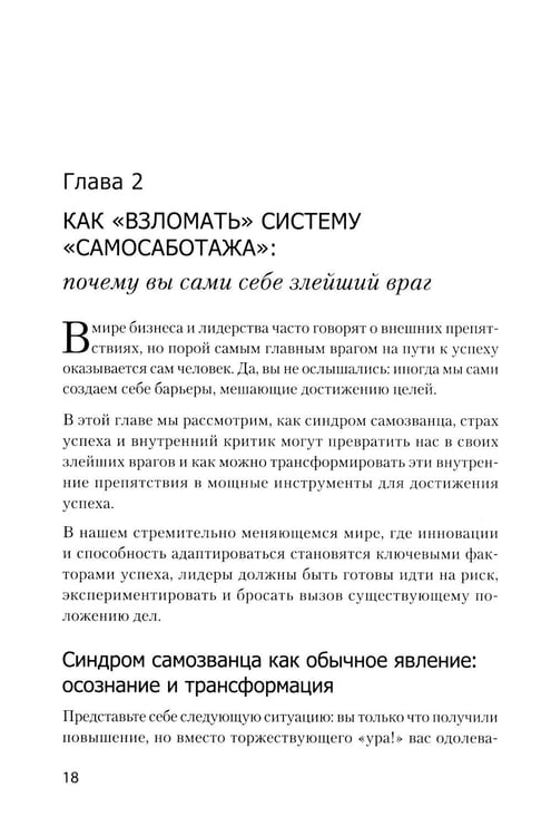 Дополнительное изображение книги «Хаос вместо правил: лидерство как провокация»