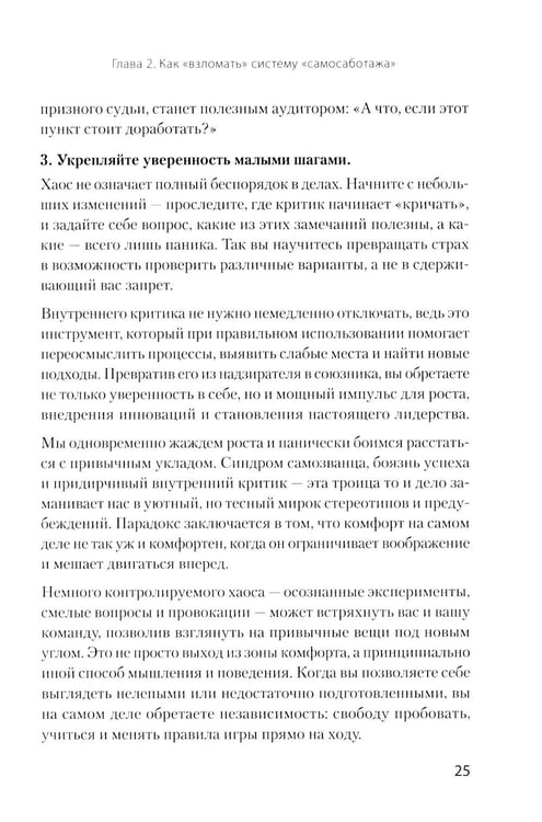 Дополнительное изображение книги «Хаос вместо правил: лидерство как провокация»