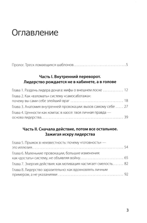 Дополнительное изображение книги «Хаос вместо правил: лидерство как провокация»
