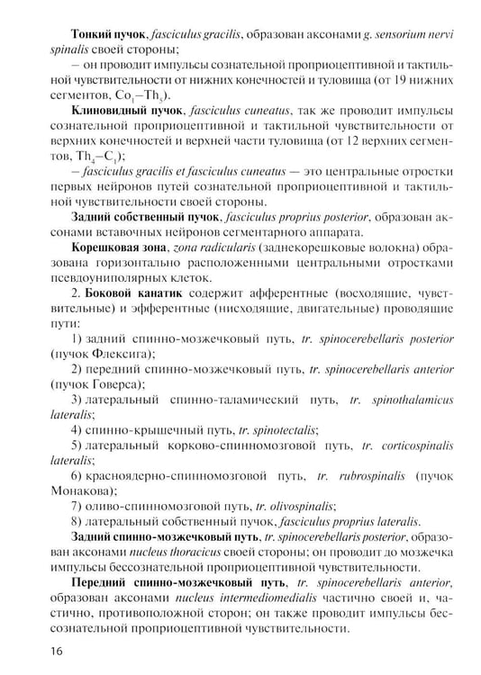 Дополнительное изображение книги «Анатомия центральной нервной системы. Краткий курс: Учебное пособие. 19-е изд., перераб. и доп»