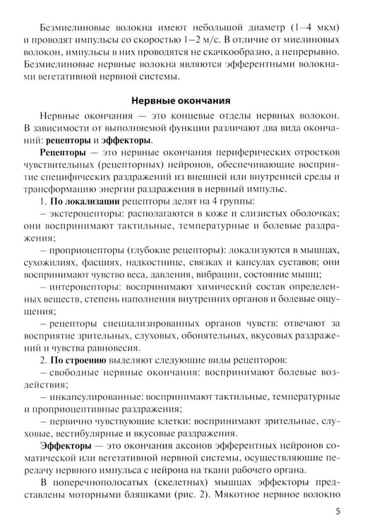 Дополнительное изображение книги «Анатомия центральной нервной системы. Краткий курс: Учебное пособие. 19-е изд., перераб. и доп»
