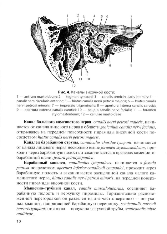 Дополнительное изображение книги «Клиническая анатомия черепа: Учебное пособие. 15-е изд., перераб. и доп»